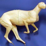 CKWCHE1 Cheetah Running