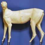 CKWCHE2 Cheetah by Ken Walker