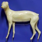 CKWCOY2 Coyote - Left Turn - Ken Walker