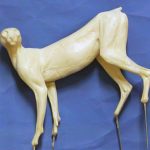 CKWLX1 Lynx by Ken Walker