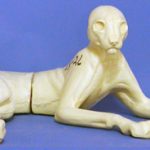 CLX26 Lynx - Peter Knapton