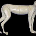 CLX26B Lynx - Peter Knapton