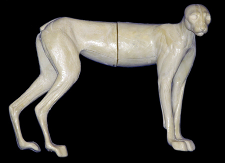 CLX26B Lynx - Peter Knapton