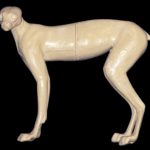 CLX32S Lynx - Peter Knapton