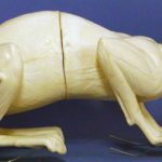 CLX33 Lynx - Peter Knapton