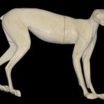 CLX34 Lynx - Peter Knapton