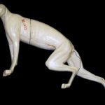 CLX35 Lynx - Peter Knapton