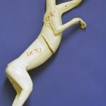 CLX37 Lynx - Peter Knapton