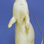 CMK1 Mink - Peter Knapton