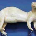 CMK16 Mink - Peter Knapton