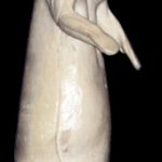 CMK16A Mink - Peter Knapton