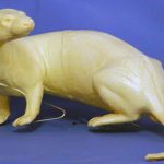 COT1 Otter - Peter Knapton