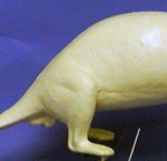 COT25 Otter - Peter Knapton