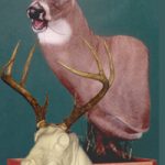 CPP066 Pivot Pedestal Chewing Left Turn