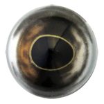 Crappie / Rainbow Trout - 10MM