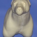 CRB52 Black Bear Pedestal Closed Mouth
