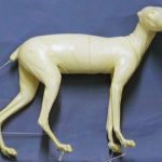 CRF1 Red Fox - Peter Knapton