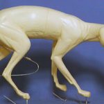 CRF23 Red Fox - Peter Knapton