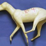 CRF4 Red Fox - Peter Knapton