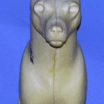 CRFS11 Red Fox - Shoulder