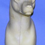 CRFS5 Red Fox - Shoulder