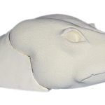 CRS99 Coyote Rugshell - Brian Harness