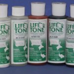 Whitetail Deer Finishing Kit