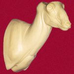 CSHP100 Sheep - (Mouflon/Corsican)