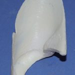 CST101 Bobcat Medium Ear Liners