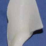 CST108 Gray Fox Ear Liners