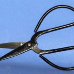 Taxidermy Scissors 6"