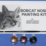 CST95 Bobcat Nose Paint Kit