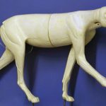 CTW343 Timber Wolf - Peter Knapton