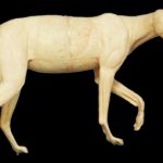 CTW353 Timber Wolf - Peter Knapton