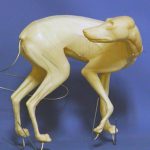 CVH050 Red Fox - Vic Heincker