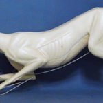 CVH052 Red Fox - Vic Heincker