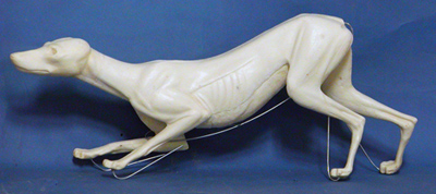 CVH052 Red Fox - Vic Heincker