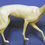 CVH053 Red Fox - Vic Heincker