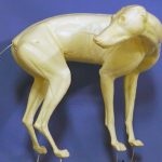 CVH100 Coyote - Vic Heincker