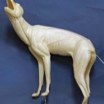 CVH101 Coyote - Vic Heincker