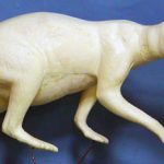 CVH402 Raccoon - Vic Heincker