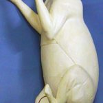 CVH406 Raccoon - Vic Heincker