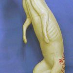 CVH551 Marten - Vic Heincker