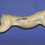 CVH700 Rabbit - Vic Heincker