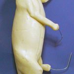 CVH775 Porcupine - Vic Heincker