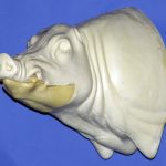 CWB03L CM Wild Boar - Closed Mouth