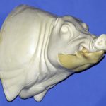 CWB03R CM Wild Boar - Closed Mouth