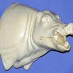 CWB03R Wild Boar - Open Mouth