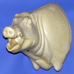 CWB04L Wild Boar - Open Mouth