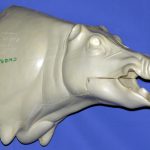 CWB04S Wild Boar - Open Mouth